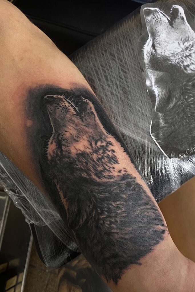 tattoo tatuaje berea ana maria realist realistic realism wolf lup