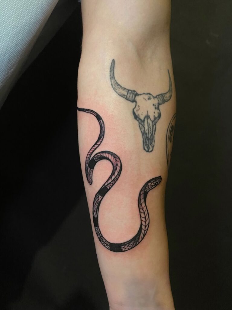 tattoo tatuaj de ana maria berea sarpe snake brat mana antebrat alb negru